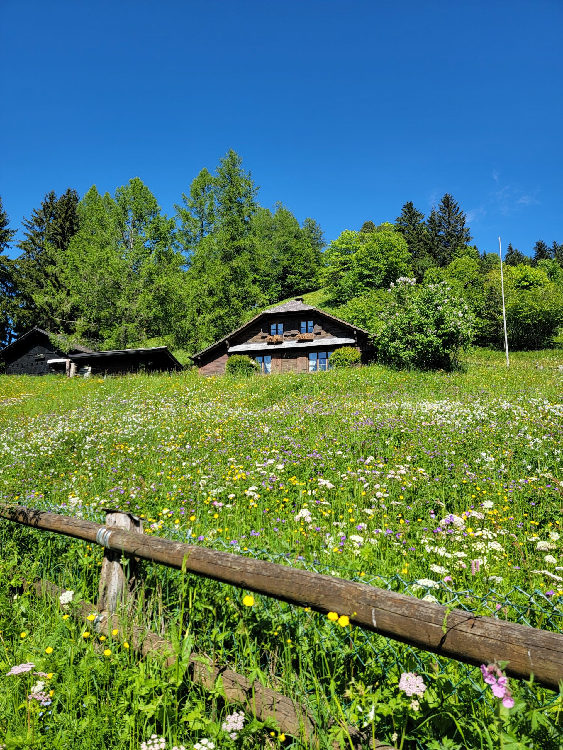 Switzerland Gallery Part 1: Geneva, Annecy, Montreux